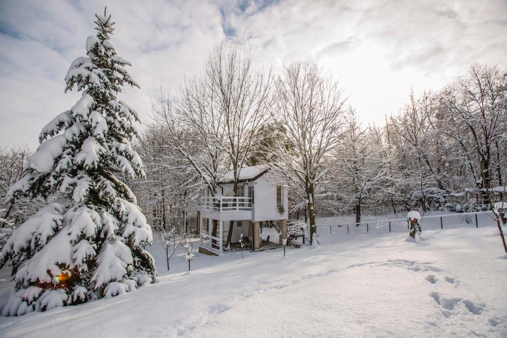 Rapsodia Pension Hotel Suceava Luaran gambar