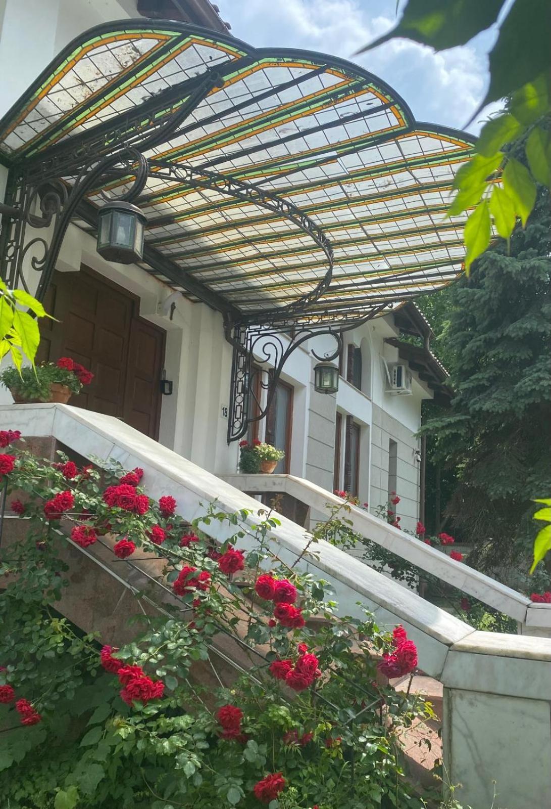 Rapsodia Pension Hotel Suceava Luaran gambar