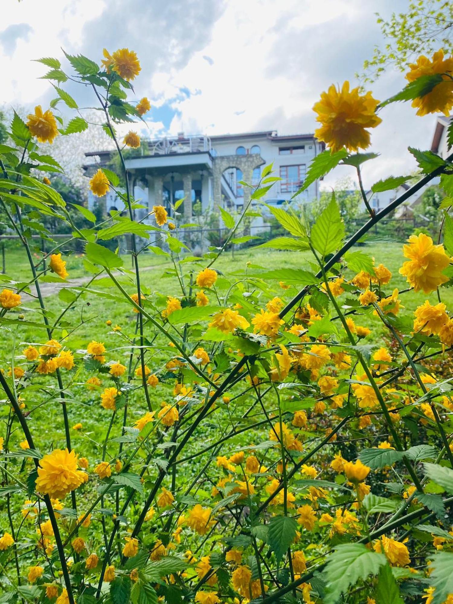 Rapsodia Pension Hotel Suceava Luaran gambar