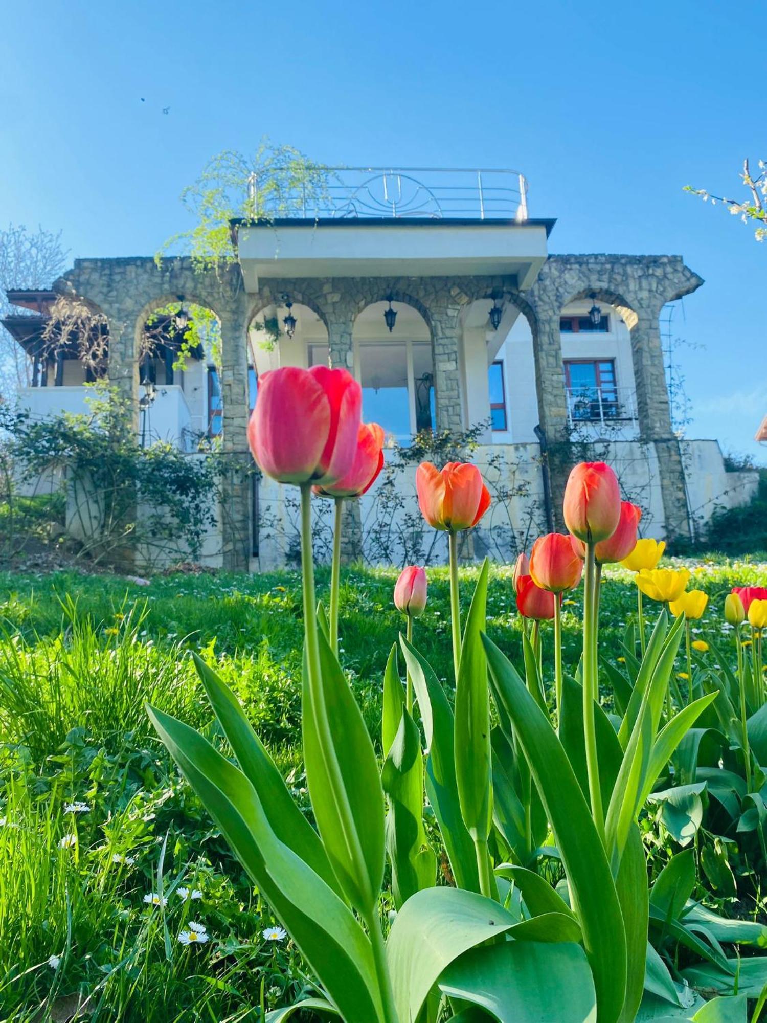 Rapsodia Pension Hotel Suceava Luaran gambar