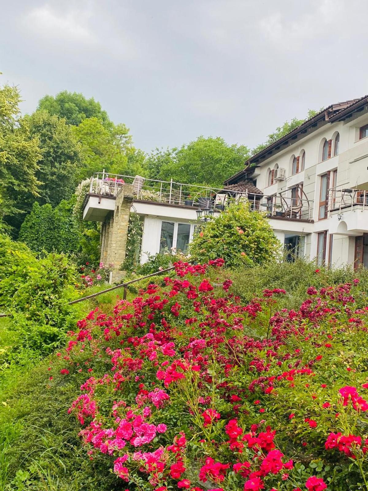 Rapsodia Pension Hotel Suceava Luaran gambar